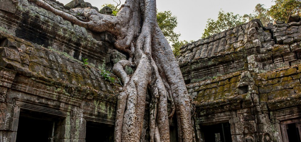 Ta Prohm Angkor S Jungle Temple